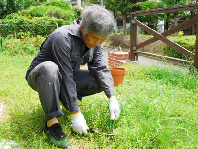 草むしり