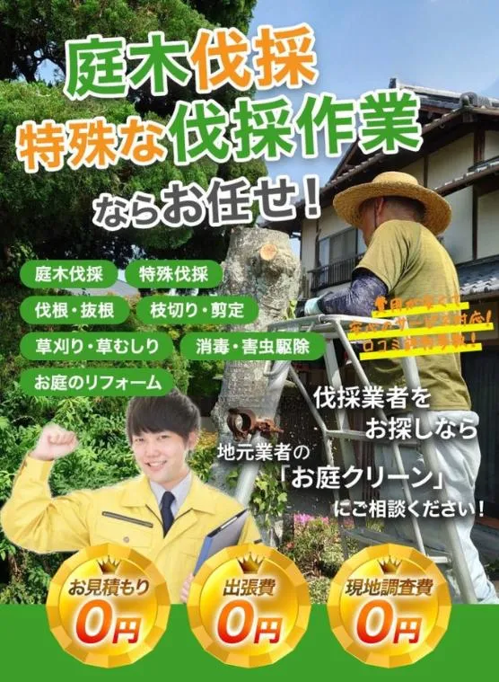 スマホ