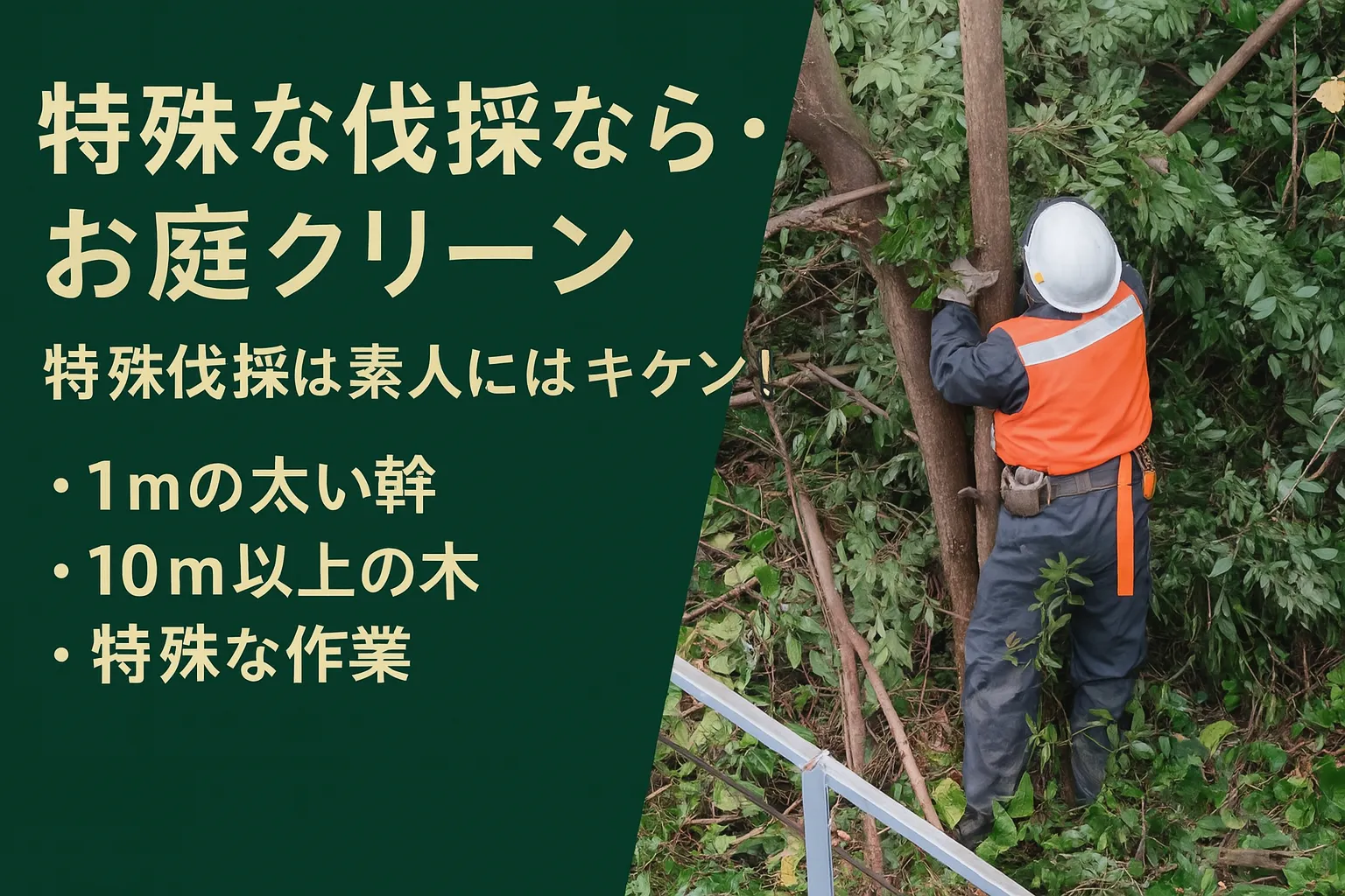 特殊伐採